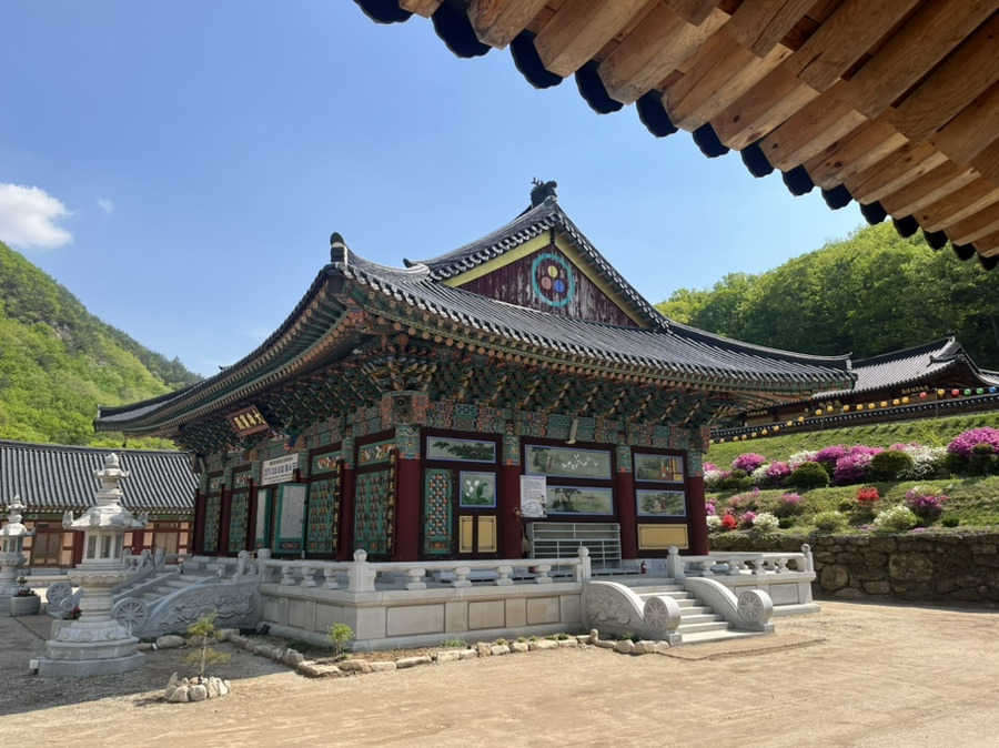대흥사 이미지