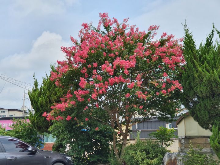 예은바다회 이미지