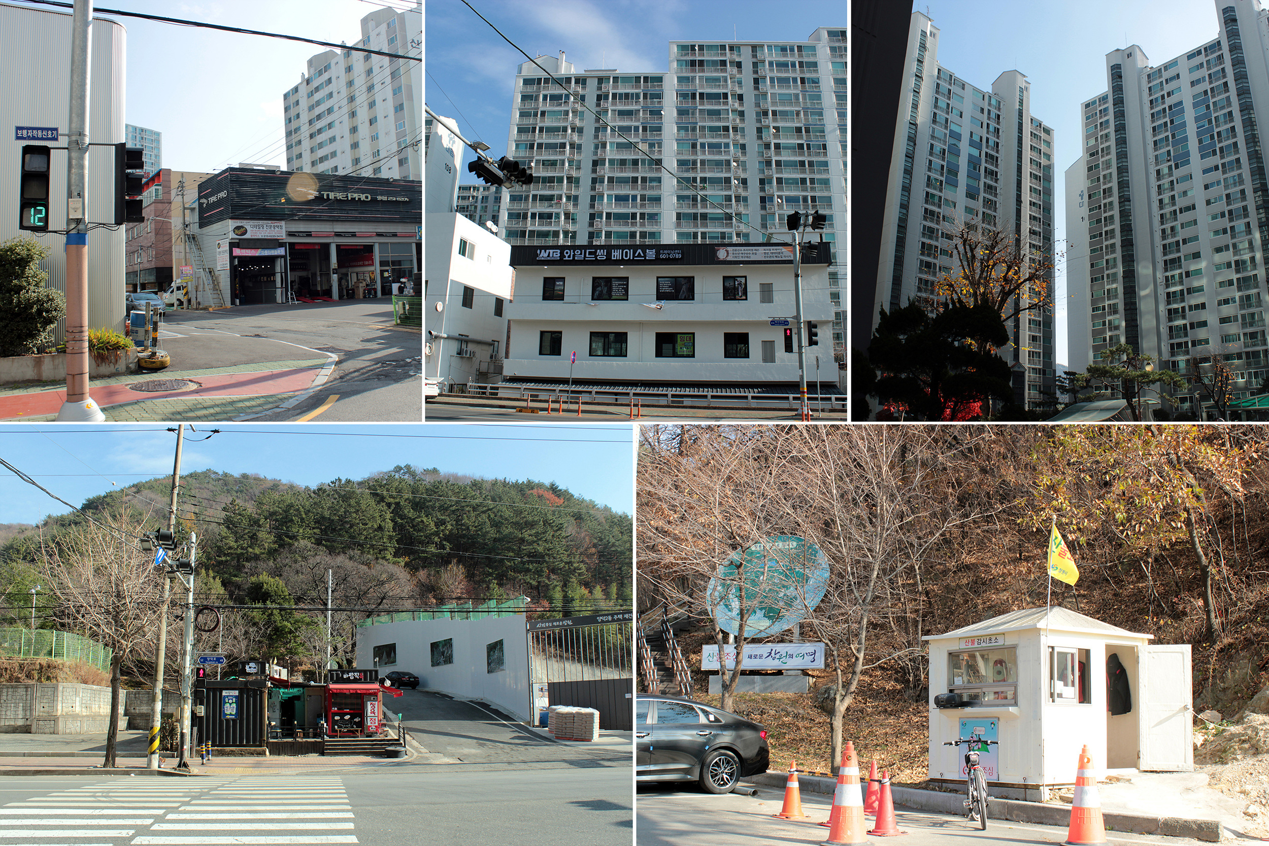 와일드씽베이스볼 이미지