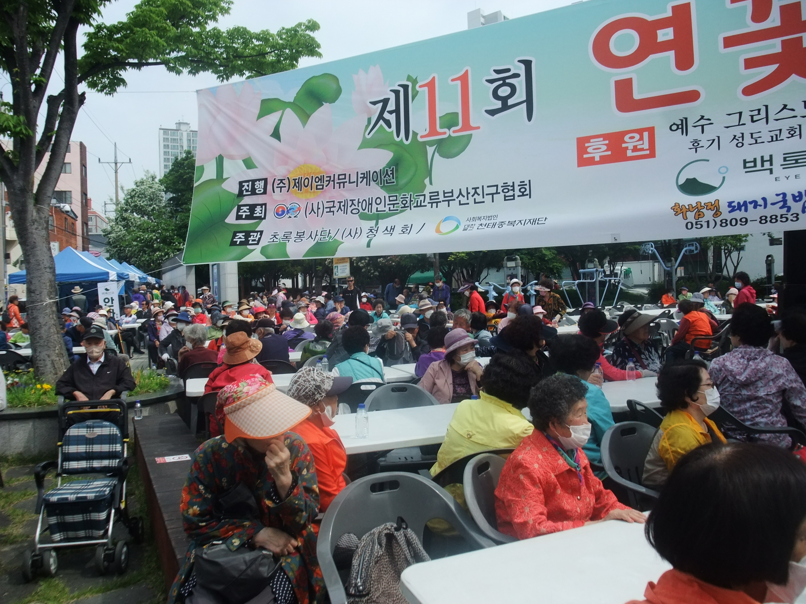 초록연꽃 이미지