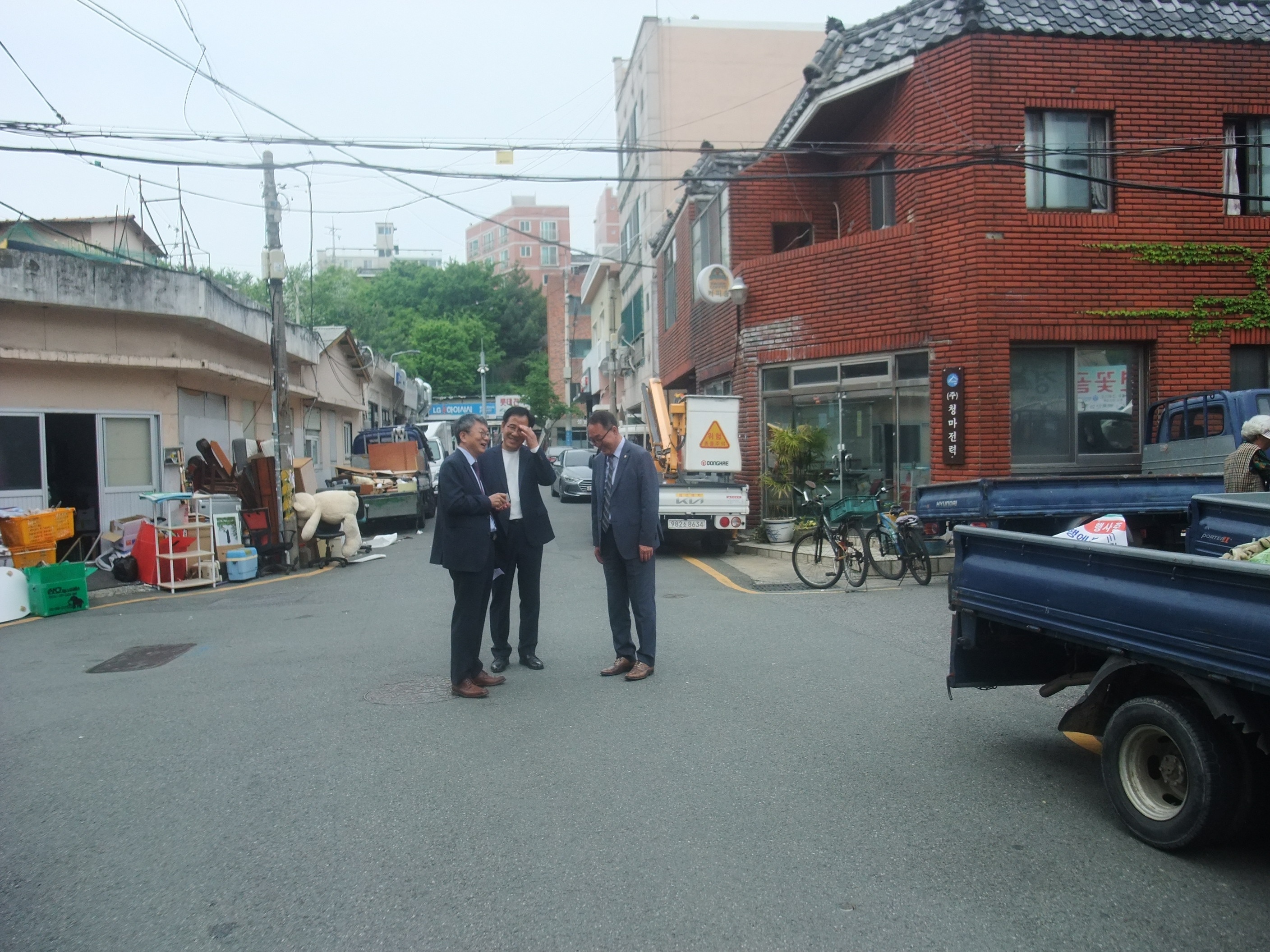 초록연꽃 이미지