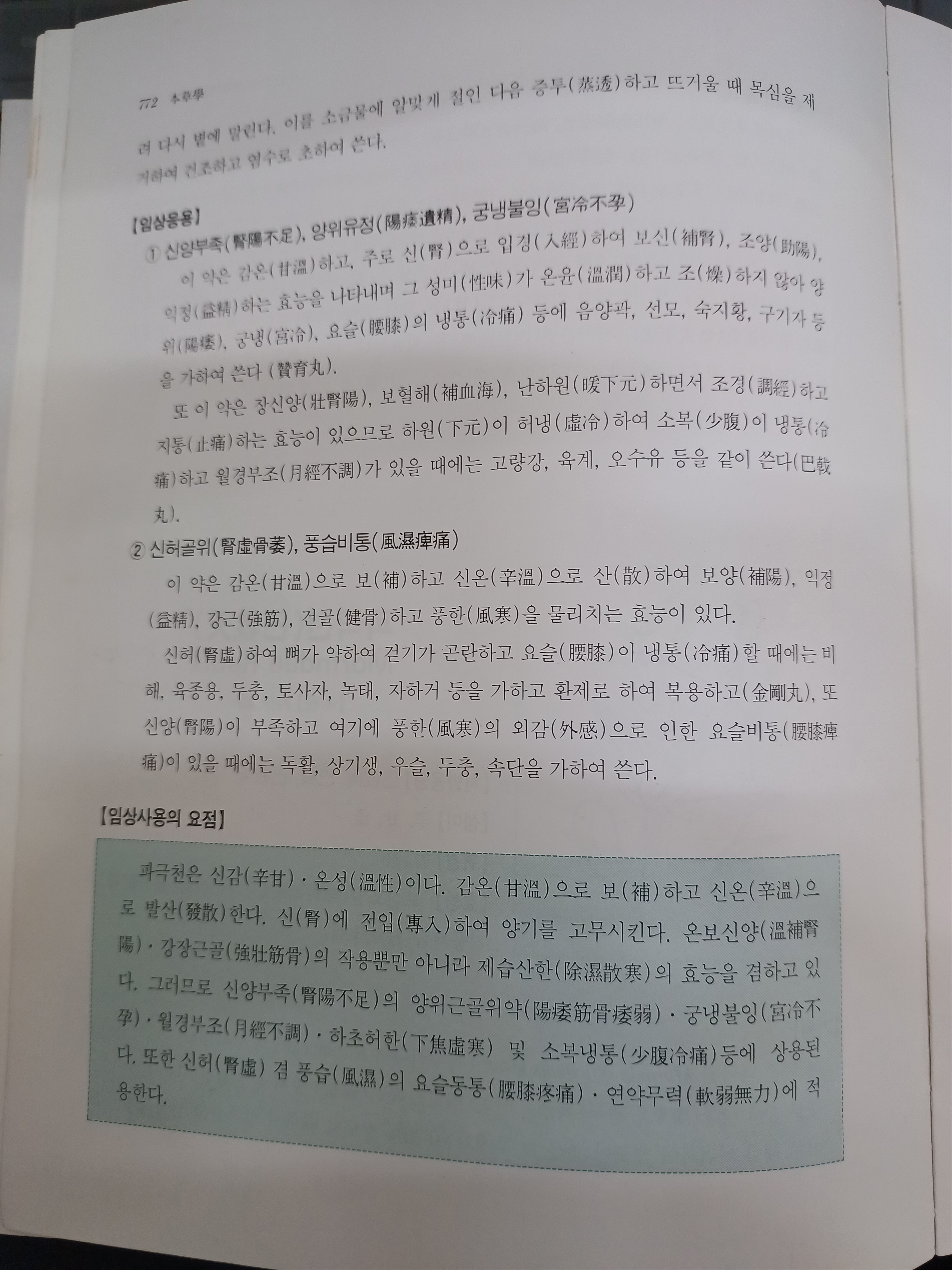호도인 이미지