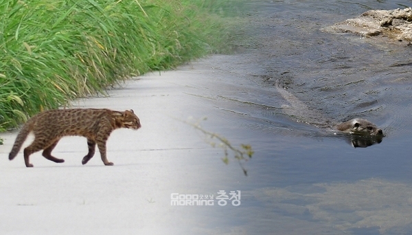 습지보호지역 이미지