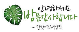 밧데리교체자동차배터리출장agm델코로케트 이미지