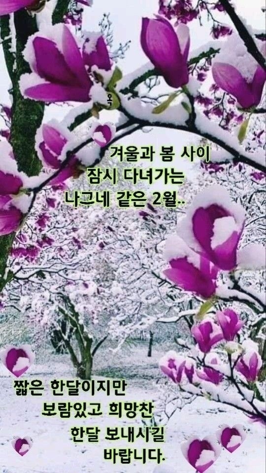 겨울과봄사이 이미지