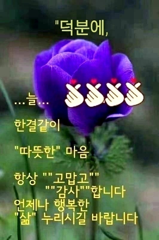 덕분 이미지