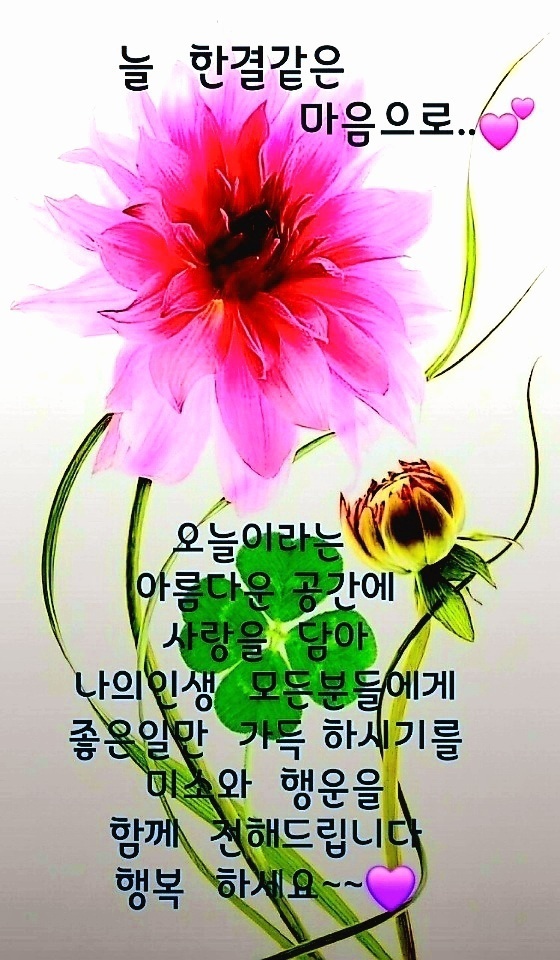 늘;한결같은 이미지