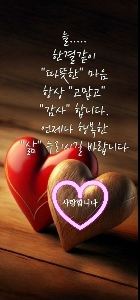 늘;한결같은 이미지