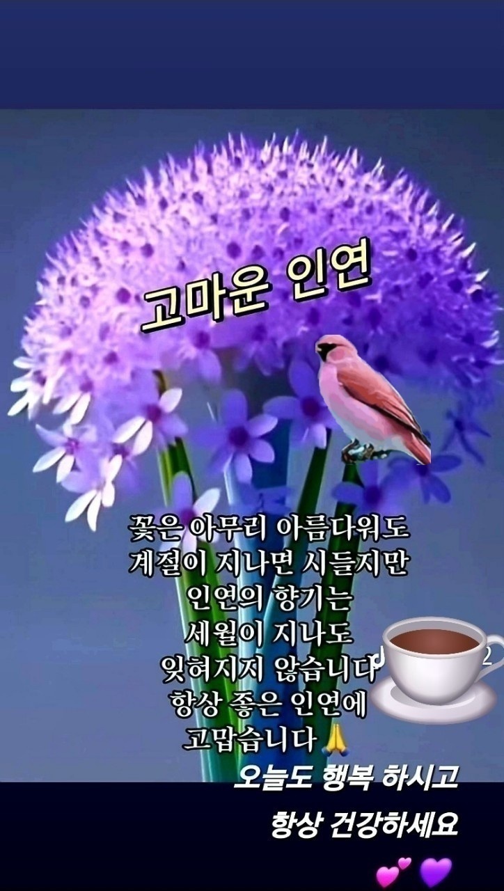 인연 이미지