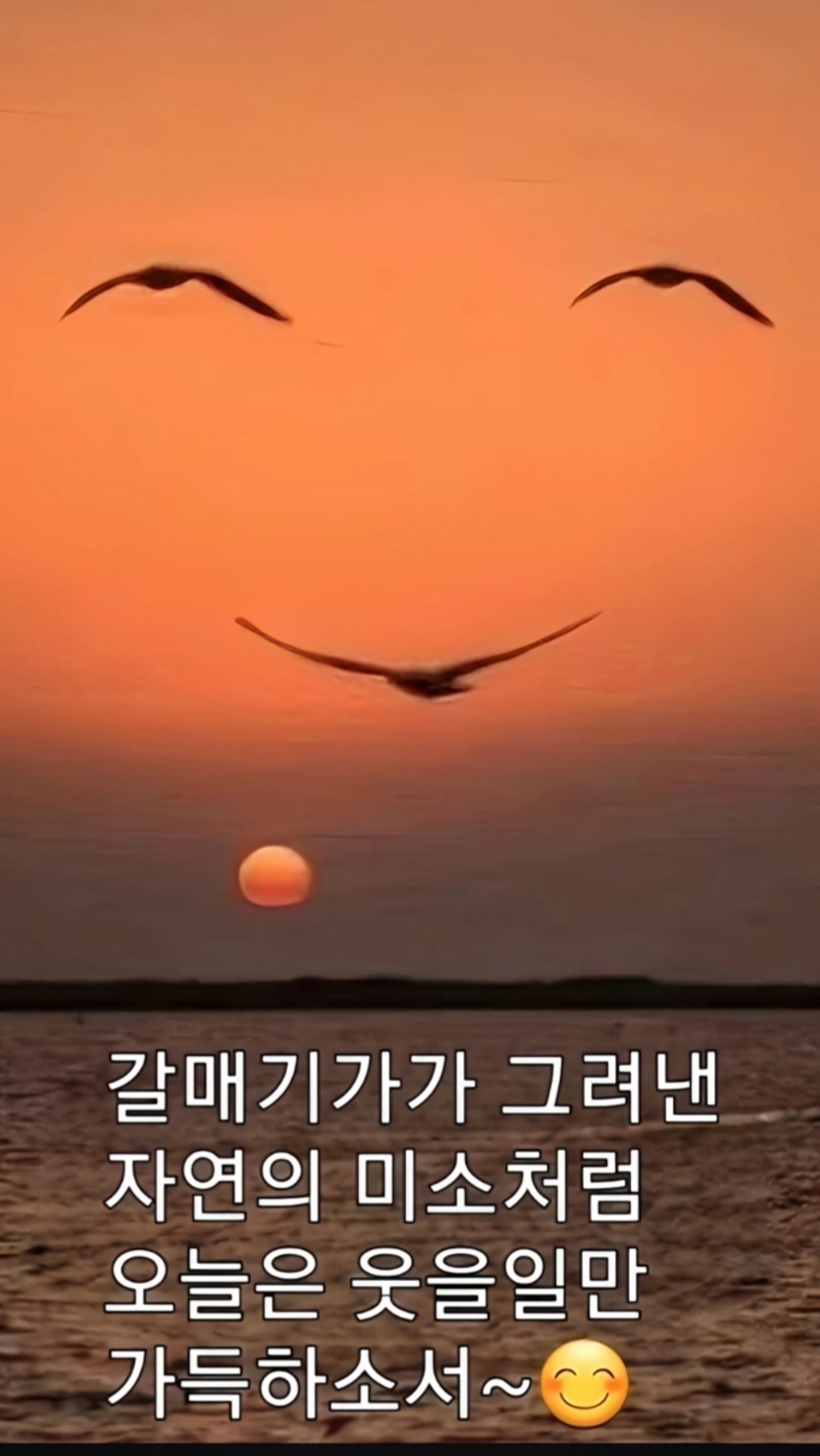 갈매기미소 이미지