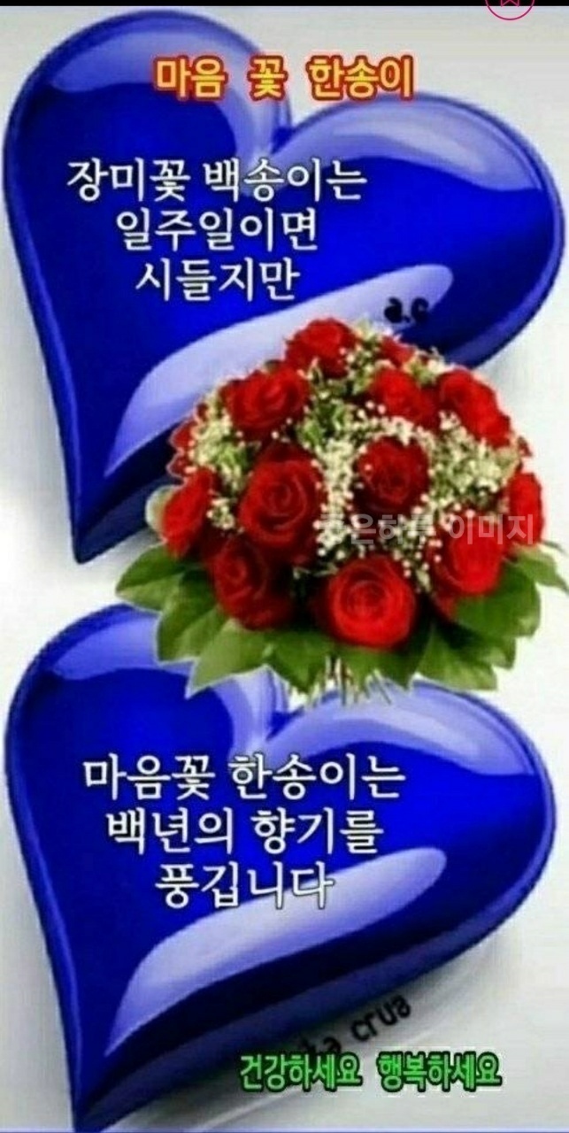 마음의꽃 이미지