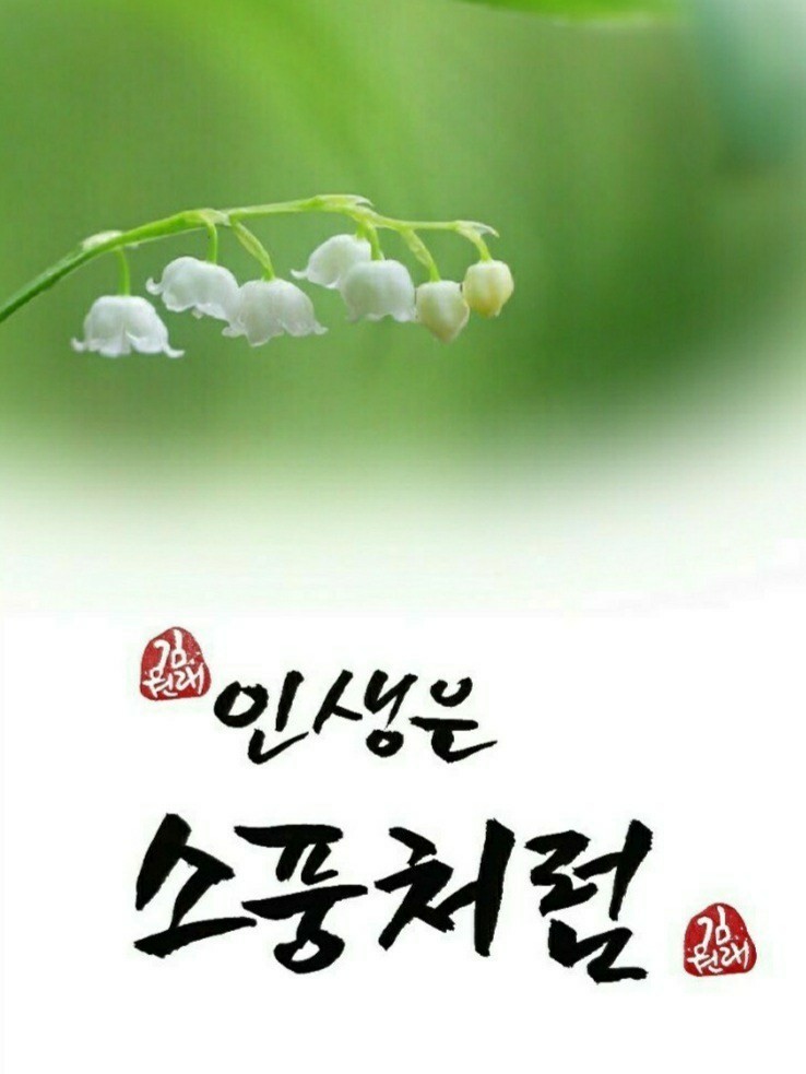 소유짐 이미지