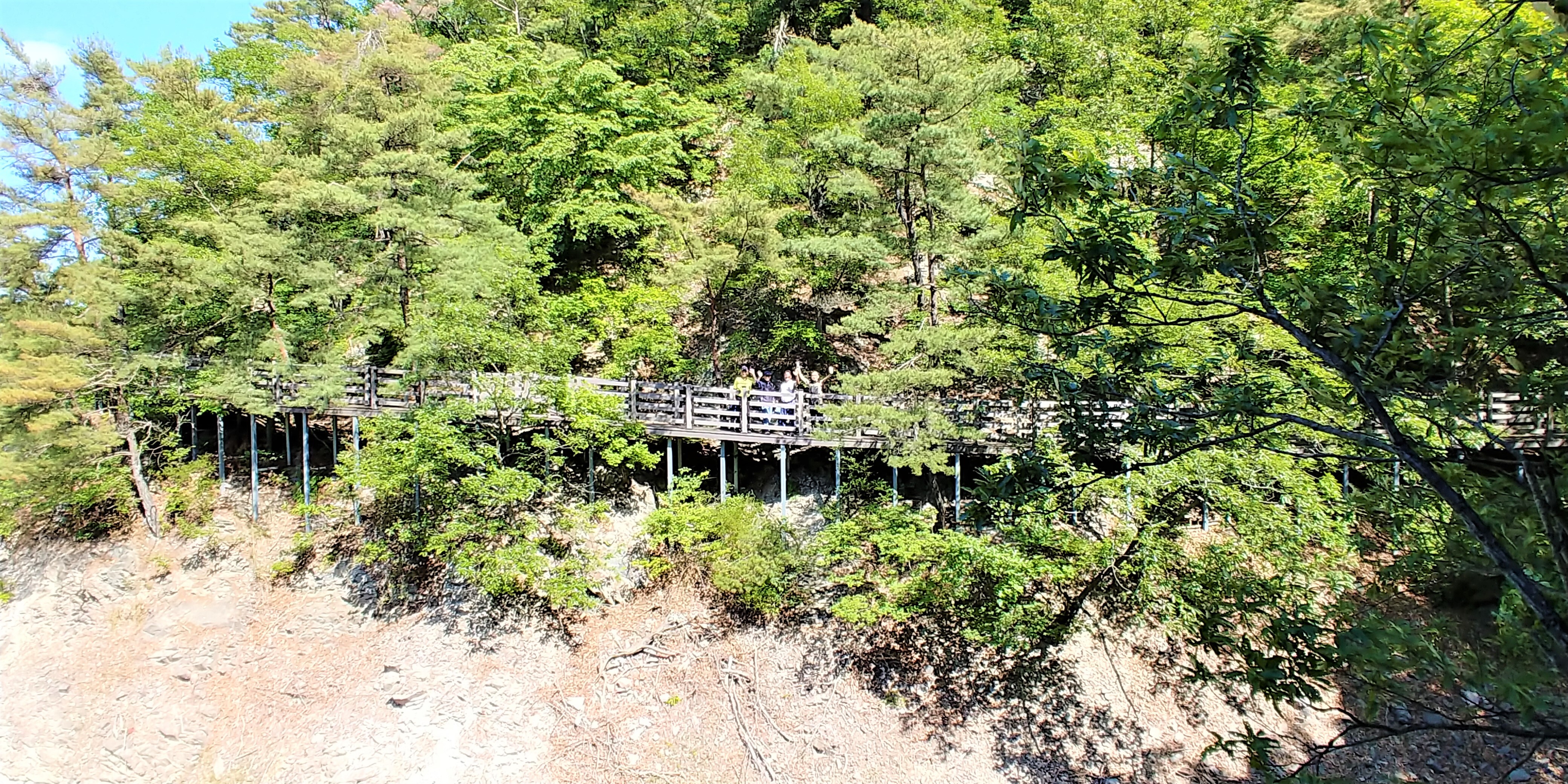 주달수횟집 이미지