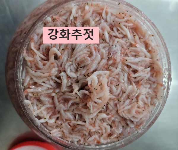 Daum 카페