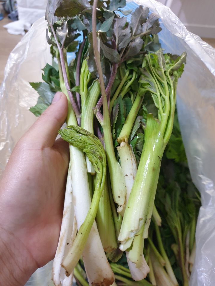 고본 이미지