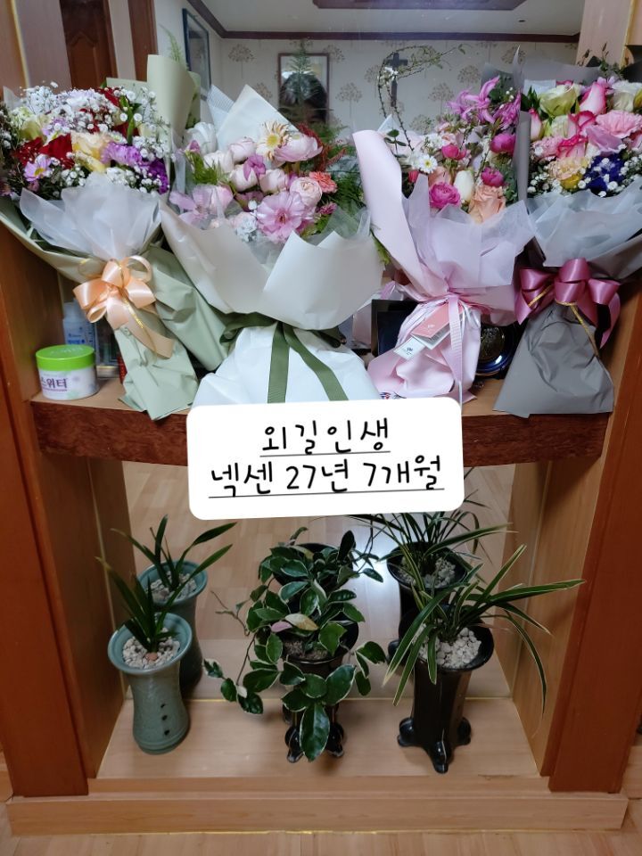 일편단심 이미지