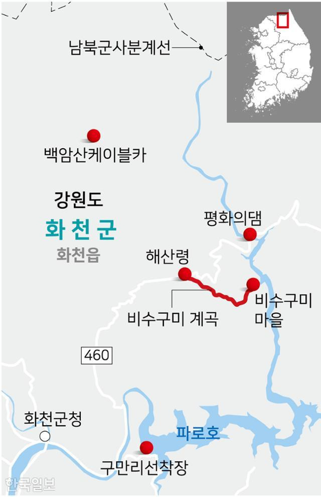 원시림 이미지