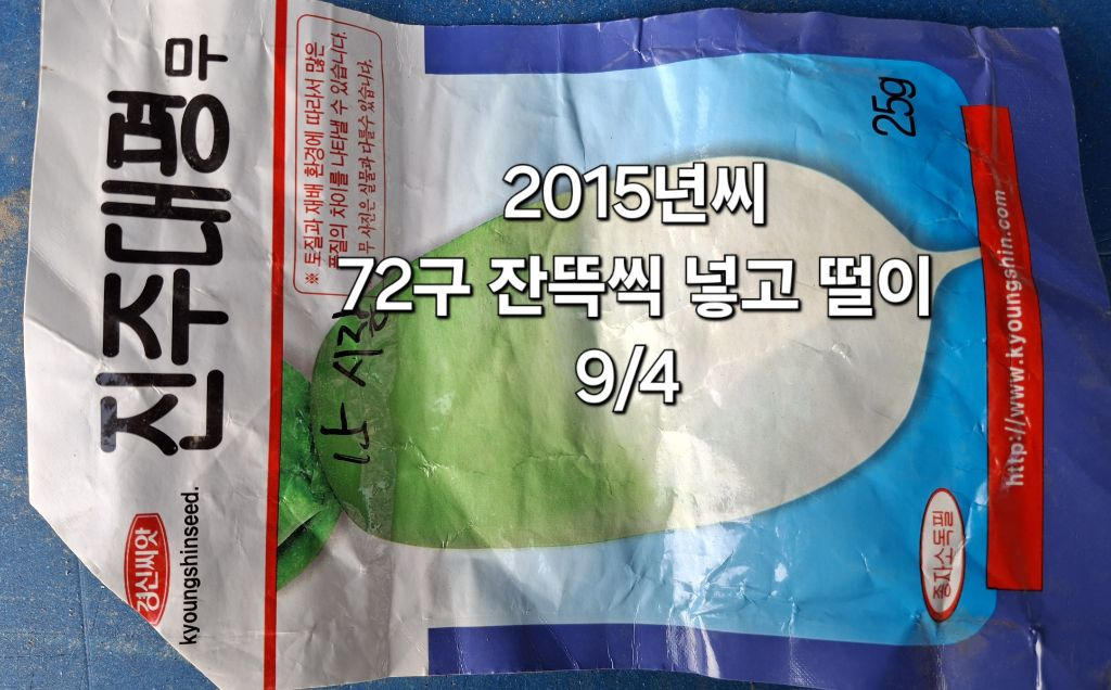 요래오래 이미지