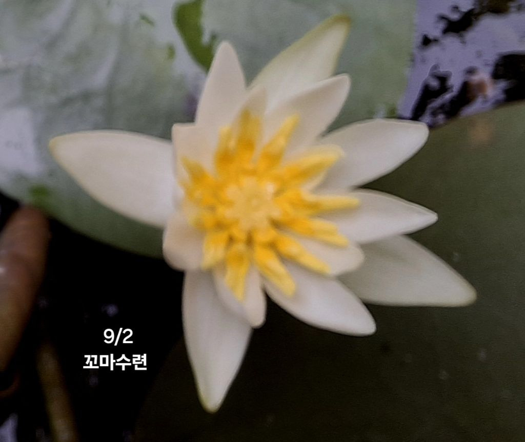 빨강 이미지