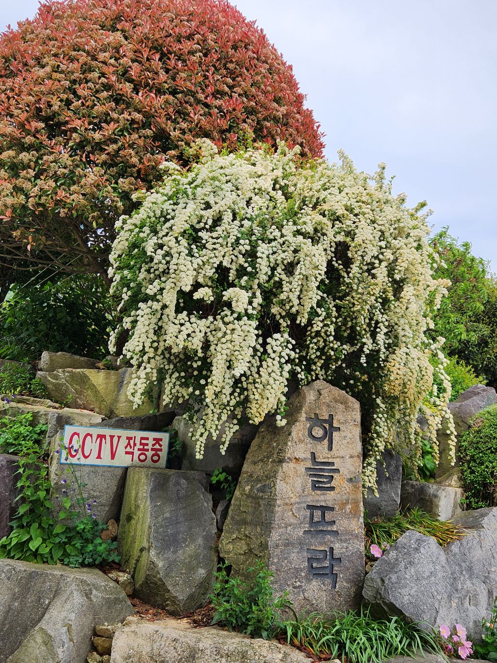화목정원 이미지