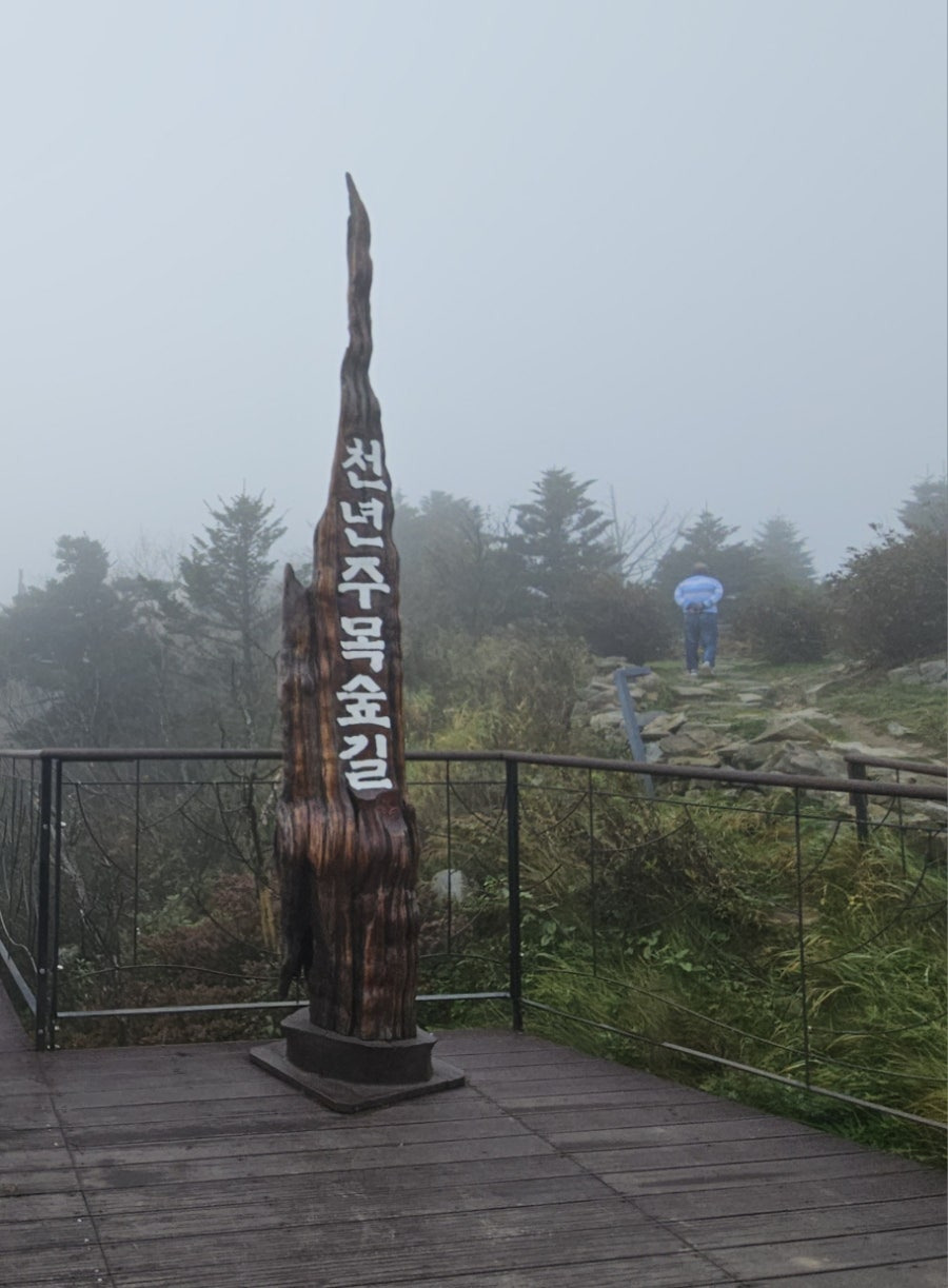 한길 이미지