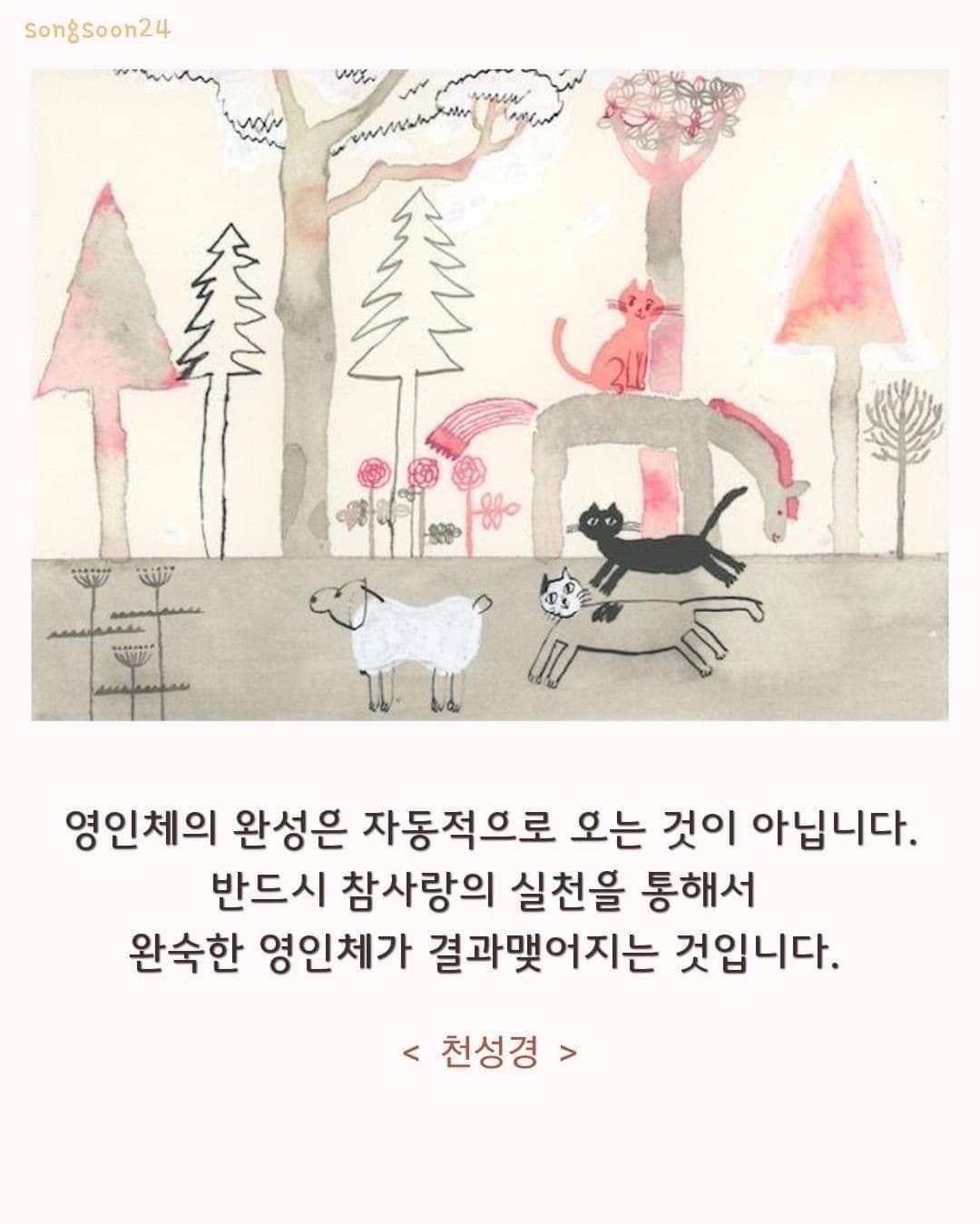 대한마트 이미지