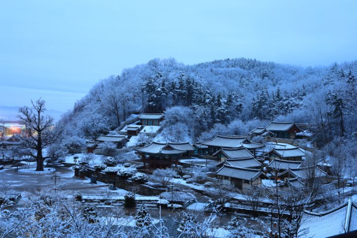 영코바이크 이미지