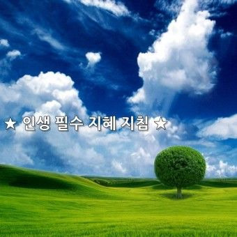 지혜 이미지