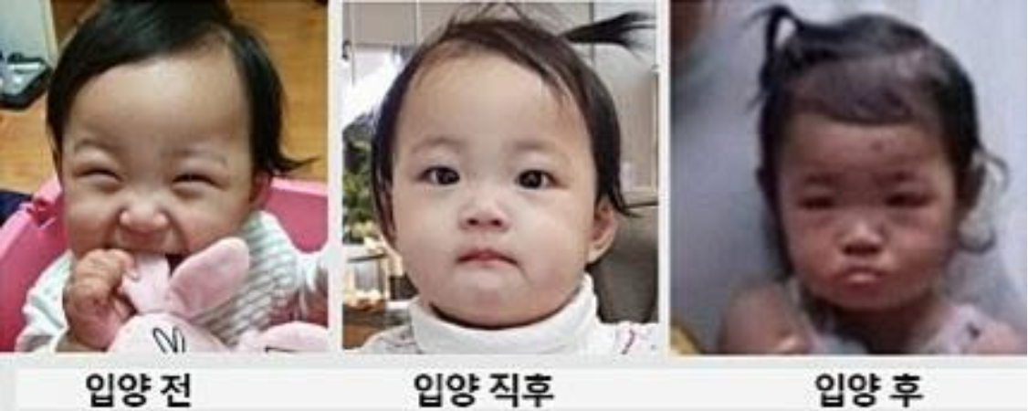 정인 이미지