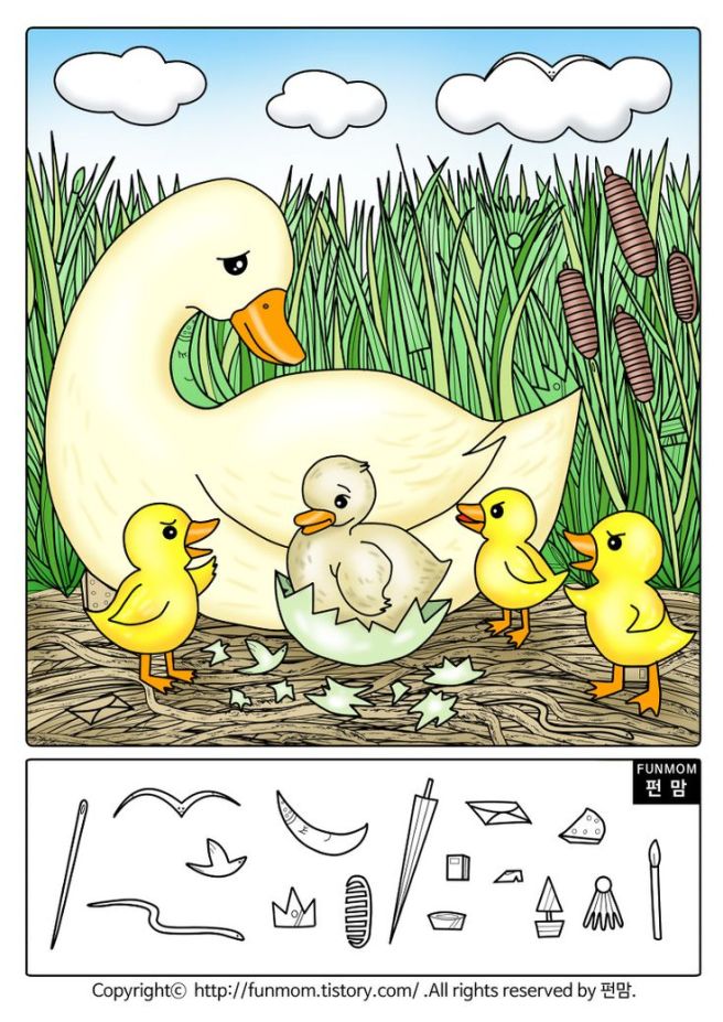 숨은그림찾기 이미지