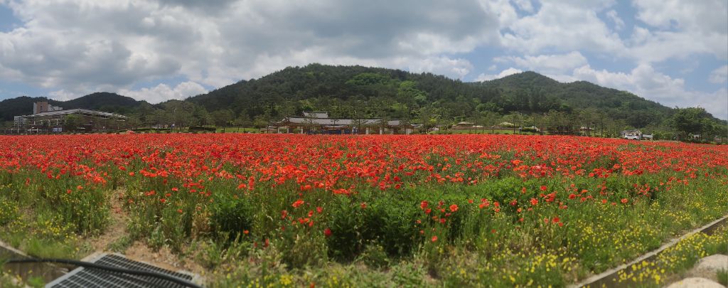 즐거운 여행 이미지