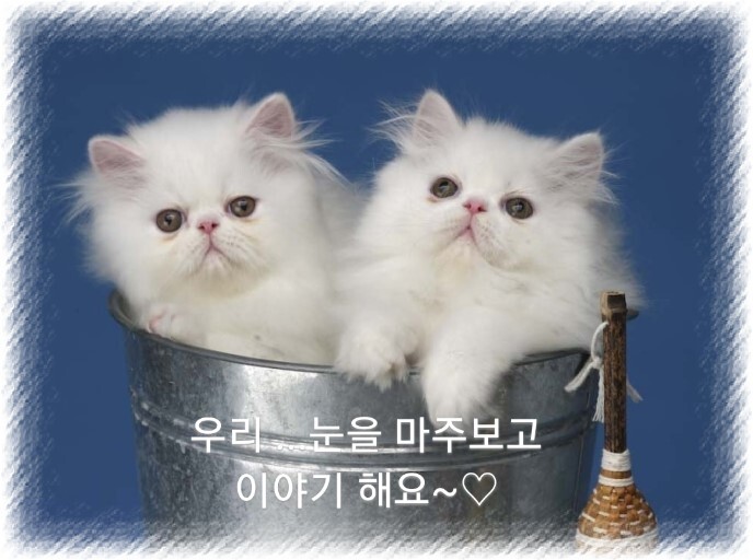 공감 이미지