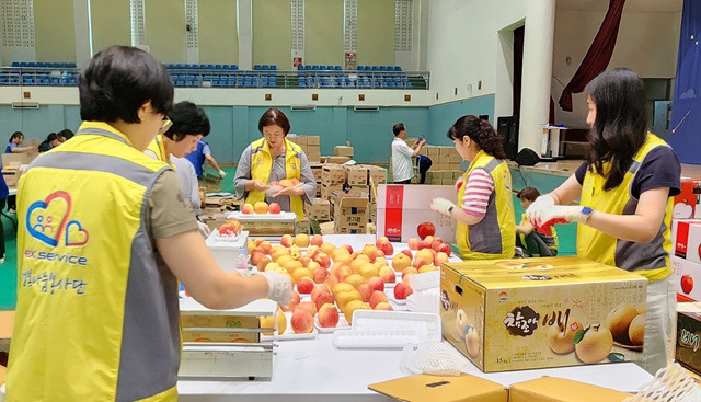 서부서비스주 이미지