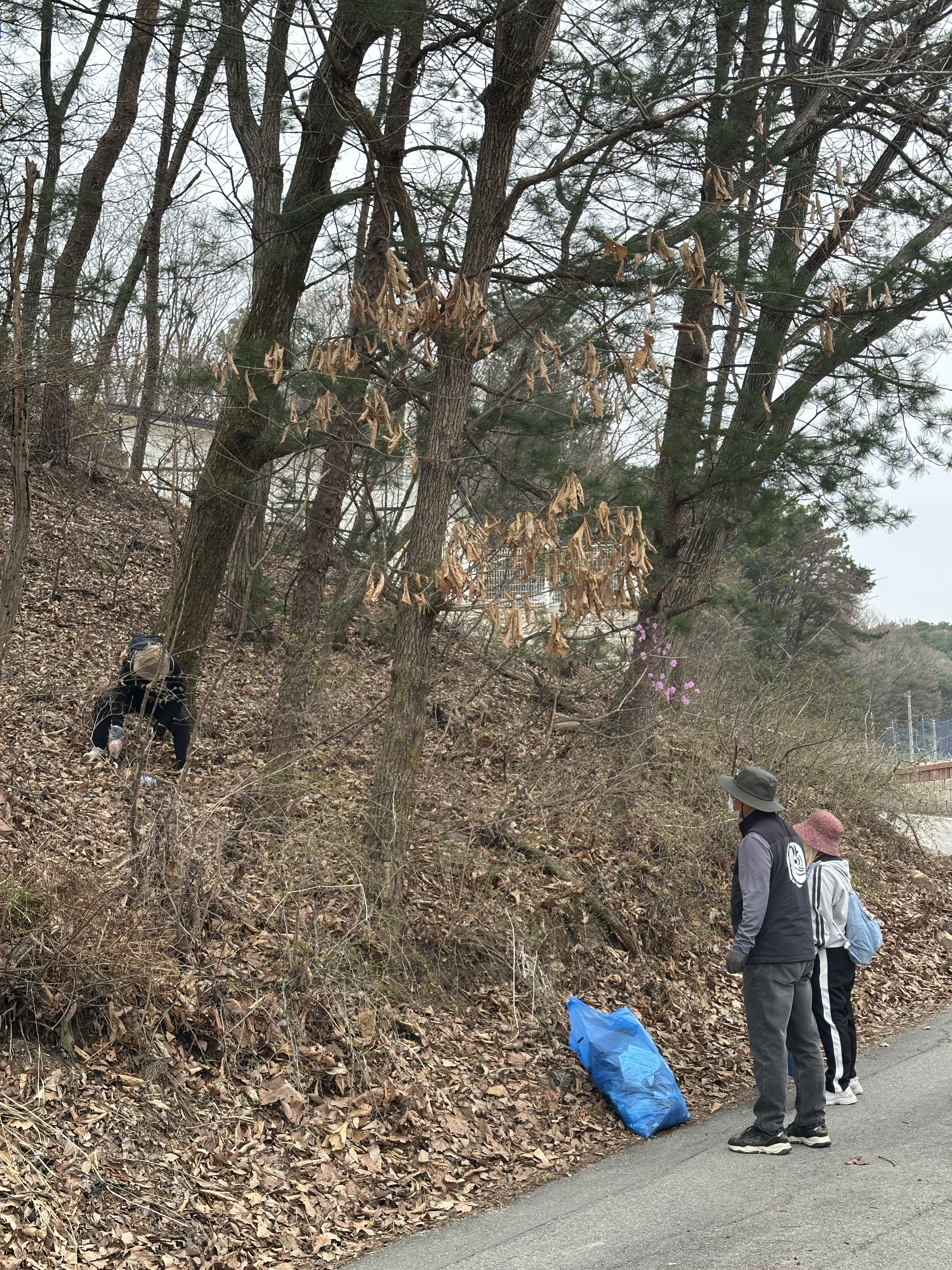 장터길 이미지