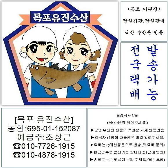 등택어,뻘낙지,가리비,국산홍어,30병어(냉동),자반고등어,참굴비,햅쌀 - 오늘의 판매생선 - 목포유진수산(생선카페) 목포유진수산(생선카페)