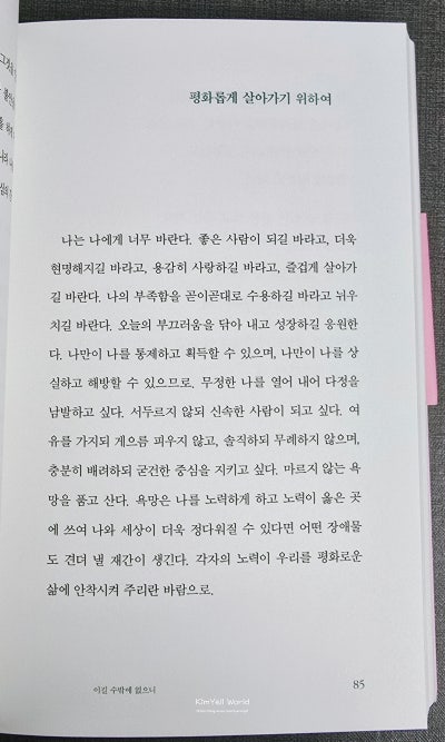 일홍 이미지