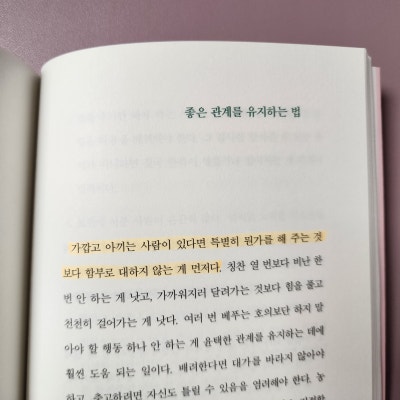 일홍 이미지