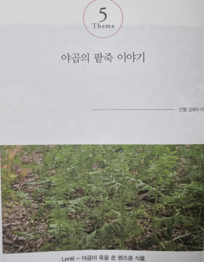 팥죽이야기 이미지