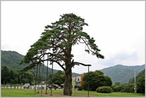 b961269409c1e729804a3f58176d4ce71f7e8c56