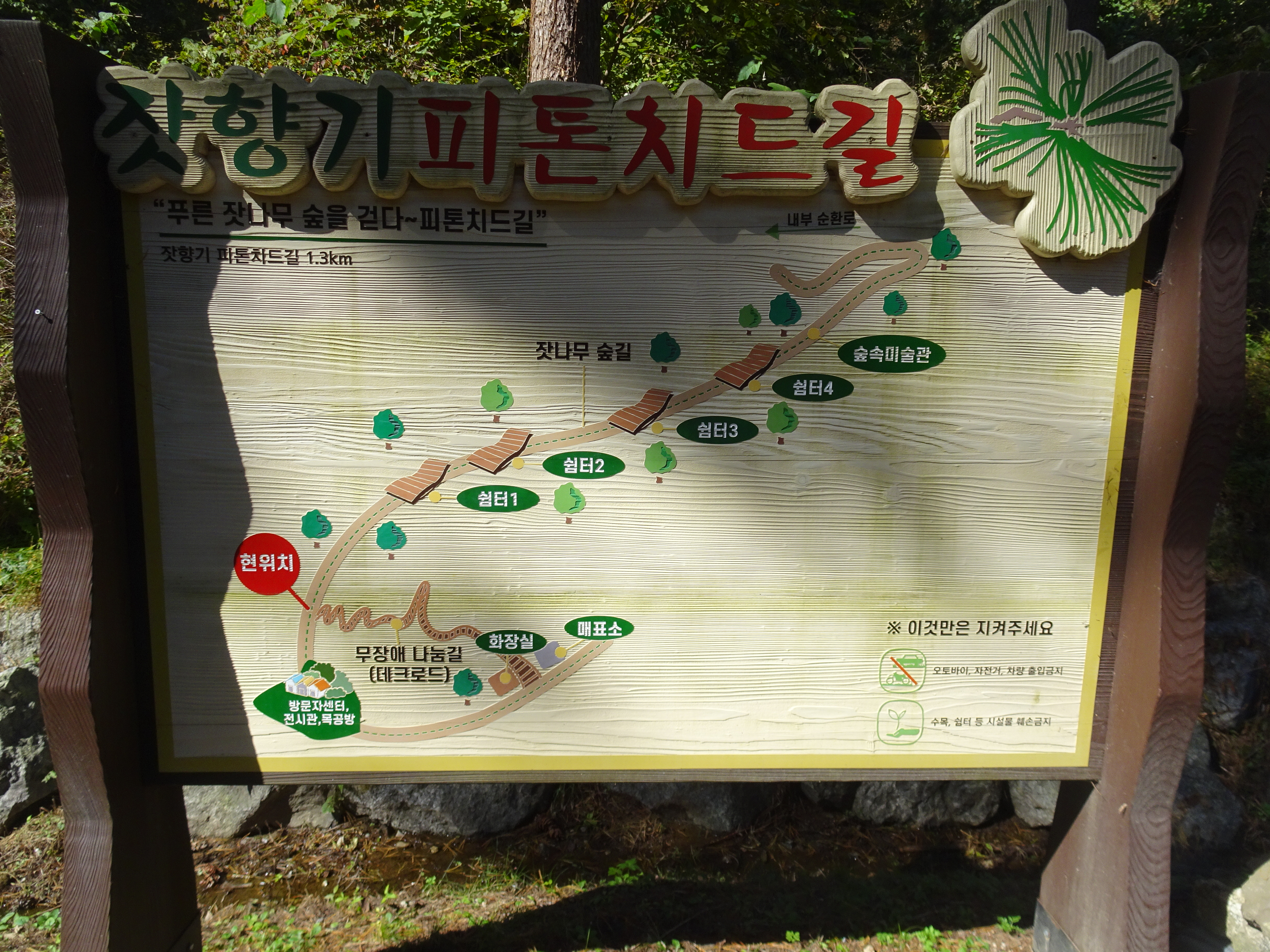 가평잣향기 이미지