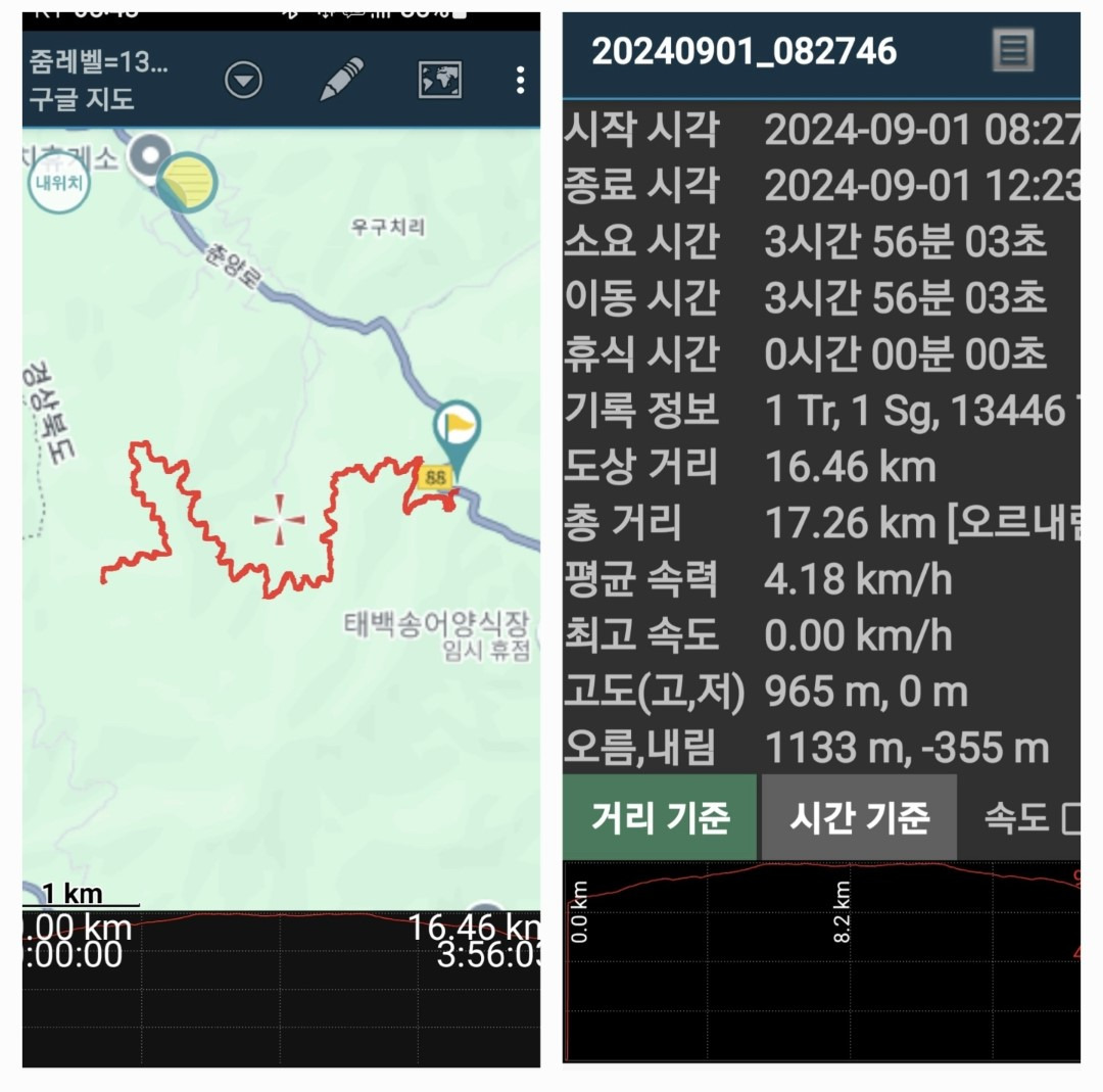 낙엽송숲 이미지