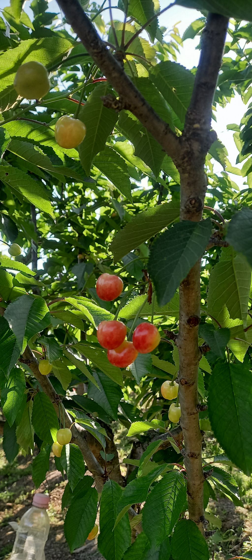 주인장 이미지