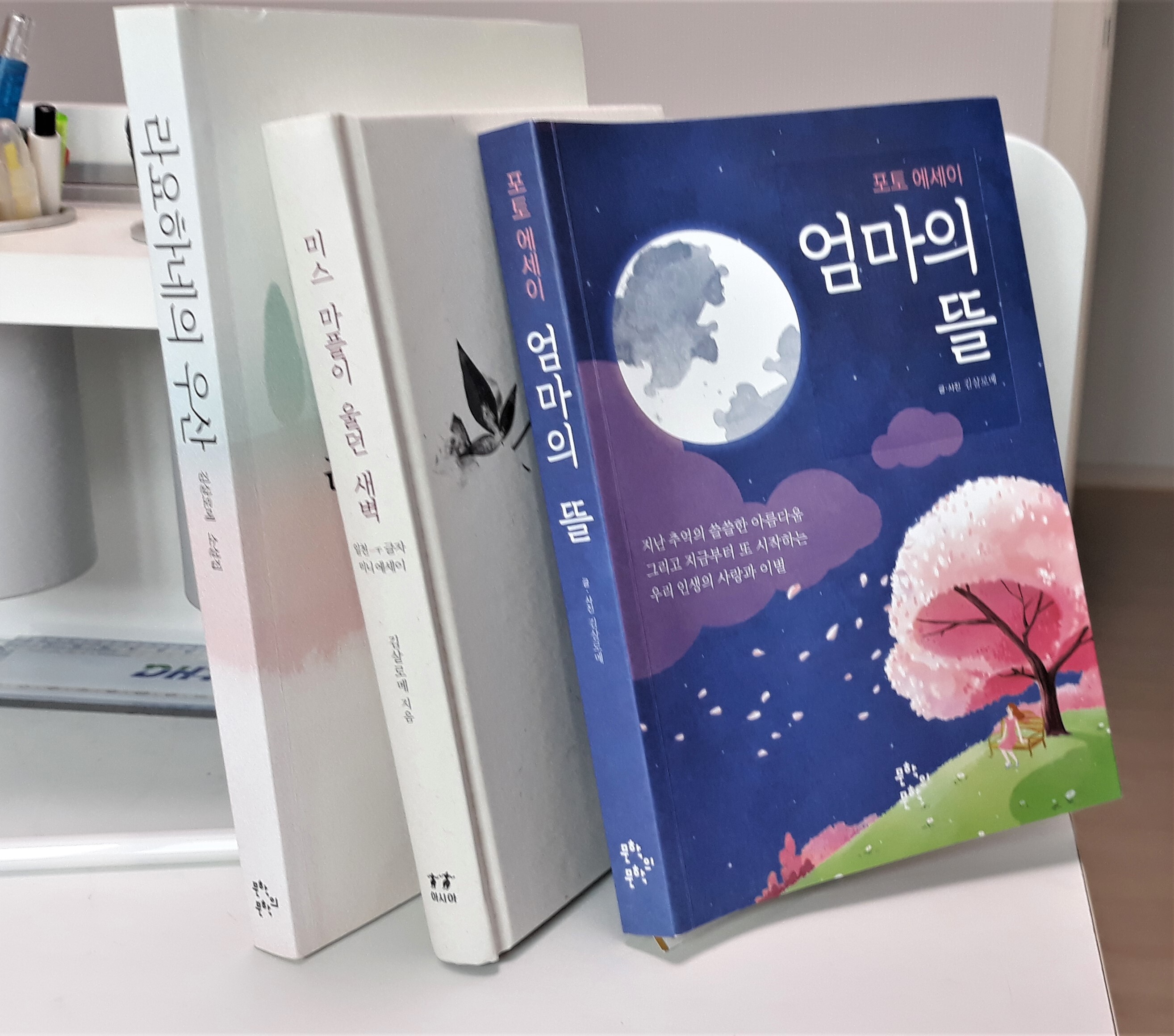 조갑규 이미지