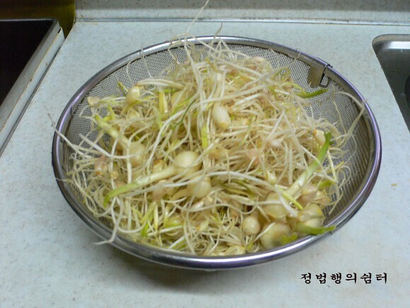 은달래 이미지