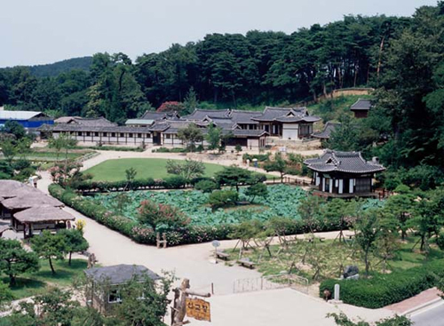 꽃길 이미지