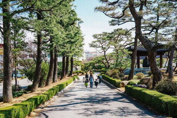오로지;꽃 이미지