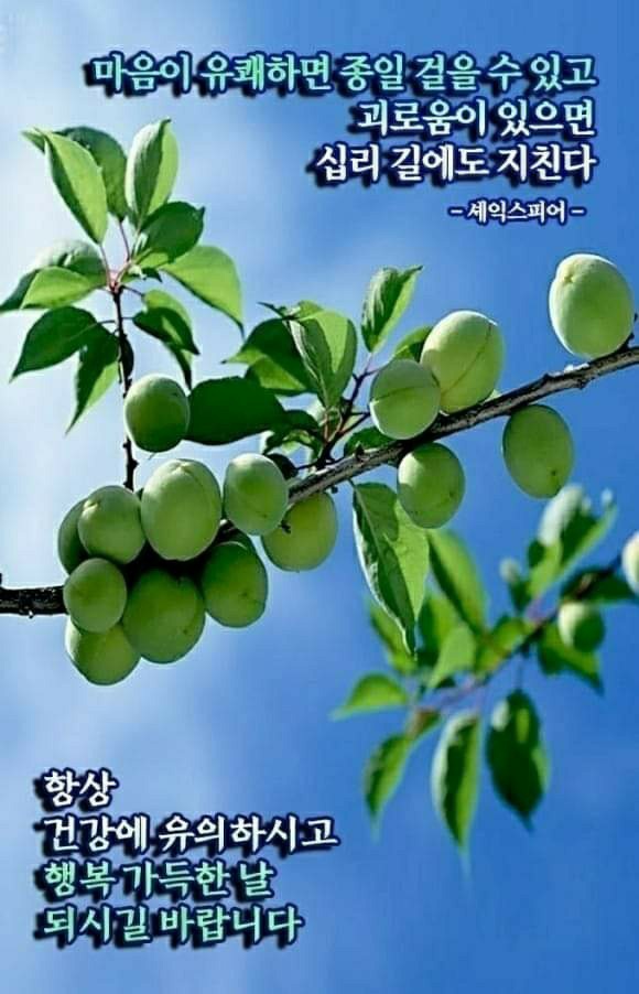 평정 이미지