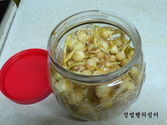 은달래 이미지