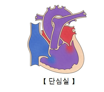 단실 이미지