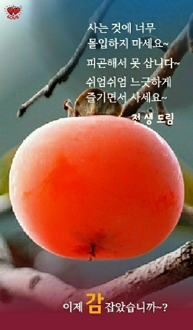 인덕 이미지